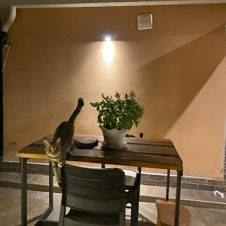 Appartement Oasis Tirana