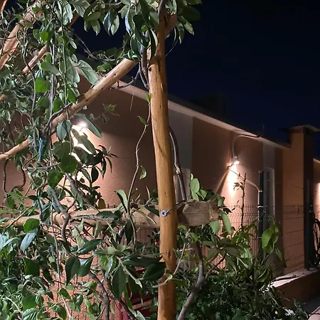 Oasis Appartement